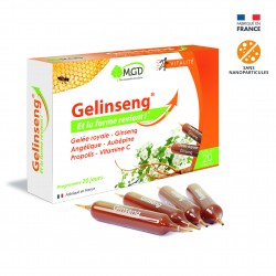 MGD GELINSENG 20 Ampoules