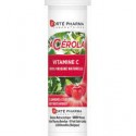 FORTE PHARMA ACEROLA 12 COMPRIMES