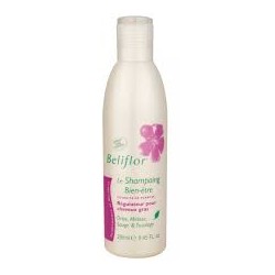 BELIFLOR SHAMPOOING  REGULATEUR CHEVEUX GRAS  250ML