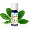 PURESSENTIEL HUILE ESSENTIELLE RAVINSARA BIO 5ML