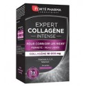 FORTE PHARMA EXPERT COLLAGENE INTENSE 14 STICKS