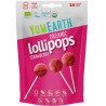 YUM EARTH SUCETTES FRAISE 14 UNITES