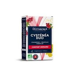 DIETAROMA CYSTENEA CRANBERRY + FERMENT B20 GELULES