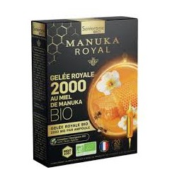 SANTAROME ARTICHAUT RADIS NOIR 20 AMPOULES