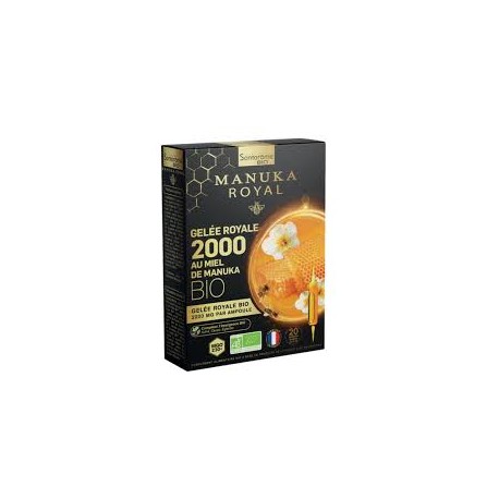 SANTAROME ARTICHAUT RADIS NOIR 20 AMPOULES