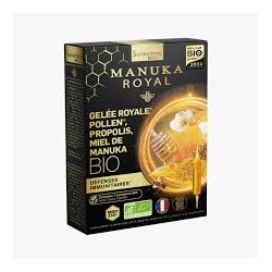 SANTAROME ARTICHAUT RADIS NOIR 20 AMPOULES