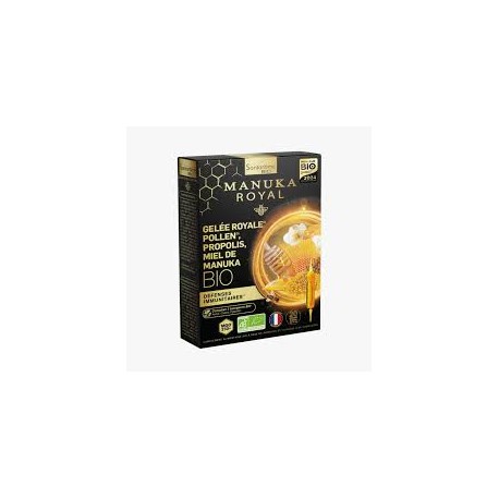 SANTAROME ARTICHAUT RADIS NOIR 20 AMPOULES