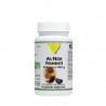VITALL+ AIL NOIR FERMENTE 600MG 60 GELULES
