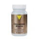 VITALL+COLLAGENE MARIN 1000MG / 30 COMPRIMES