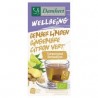 DAMHERT WELLBEING TEA TIME GINGEMBRE CITRON VERT B20 SACHETS